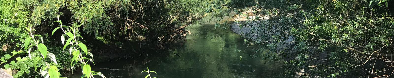 rio-arga-huarte